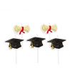 Candeline Laurea