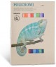 24 Colori a Gesso Policromi 