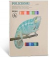 24 Colori a Gesso Policromi 